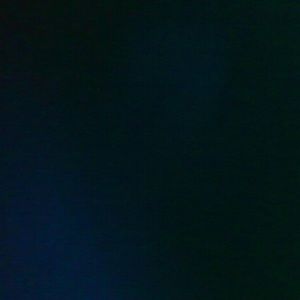 Meet your Posher, Darwin