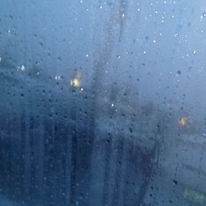 Meet your Posher, Bo