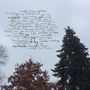 Meet your Posher, Lily