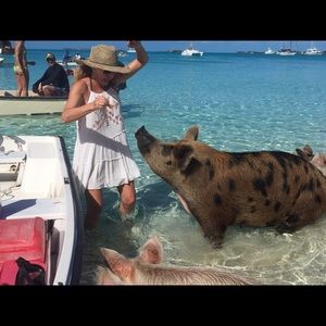 Meet your Posher, Terry