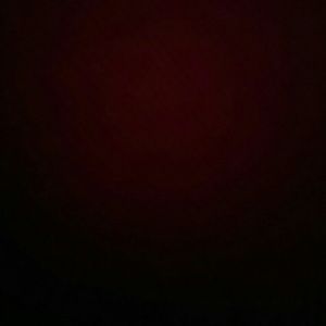 Meet your Posher, Liz