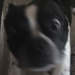 Meet your Posher, Jacob