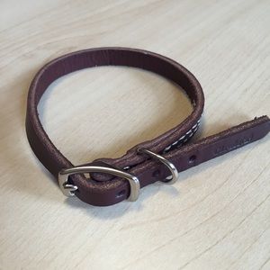 Cat/Dog Collar