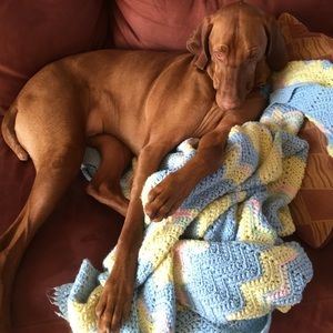 Meet your Posher, Jen