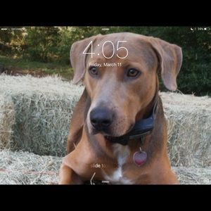 Meet your Posher, Alyson