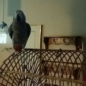 Meet your Posher, Valorie