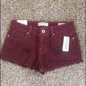 Brand New Pac Sun Shorts