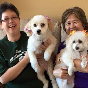 Meet your Posher, Sonia