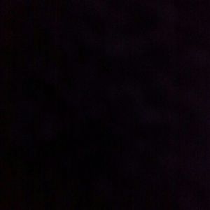 Meet your Posher, Tia