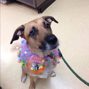 Meet your Posher, Jenny