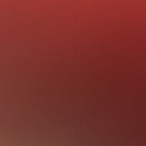 Meet your Posher, Salvador