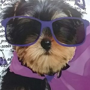 Meet your Posher, Debra