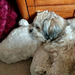 Meet your Posher, Barb