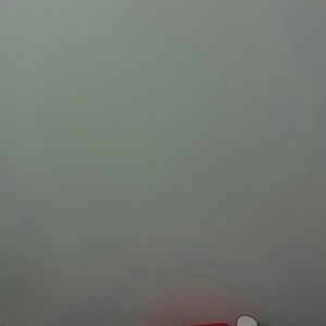 Meet your Posher, Rico