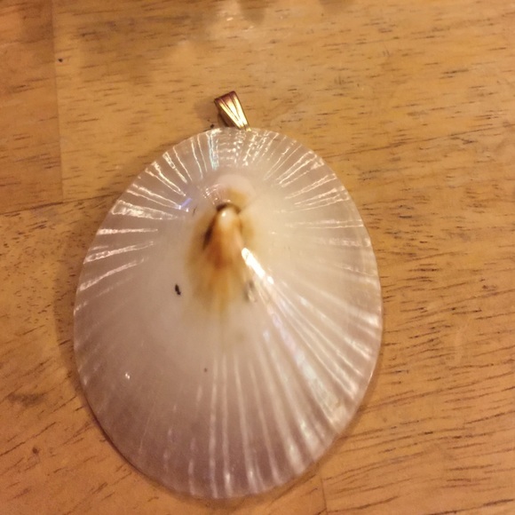 Shell pendent - Picture 3 of 3