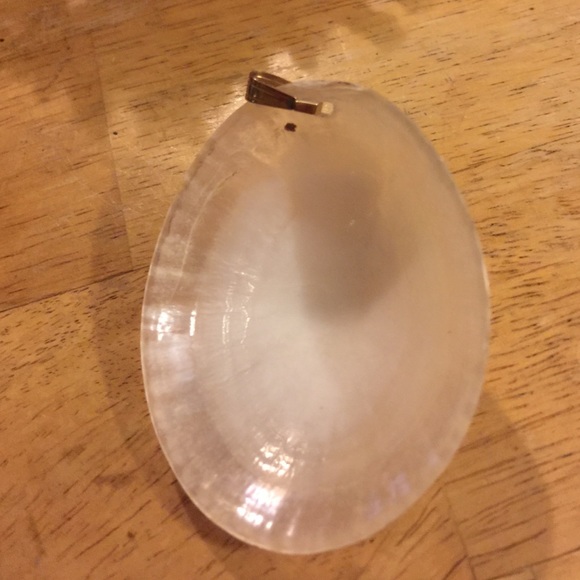 Shell pendent - Picture 2 of 3