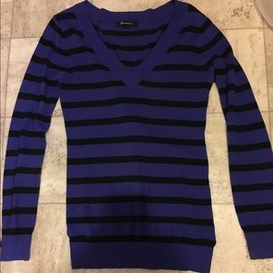 Dark purple and black striped long sleeve sweater.