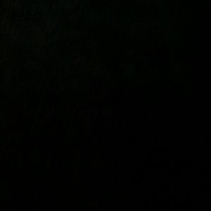 Meet your Posher, Stella