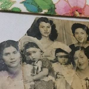 Meet your Posher, Irma