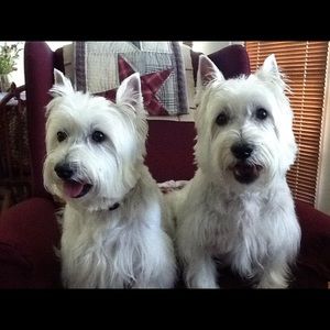 Meet your Posher, Marcia