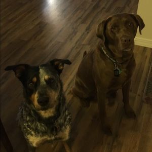 Meet your Posher, Candice