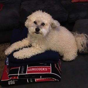 Meet your Posher, Zach