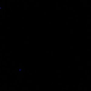 Meet your Posher, Ashanti