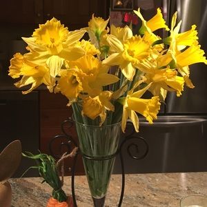 Meet your Posher, Mary jane