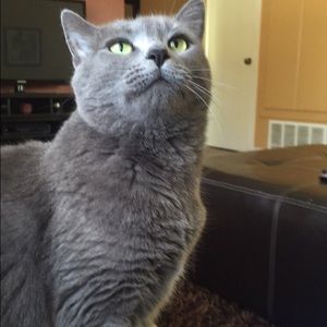 Meet your Posher, Sierra
