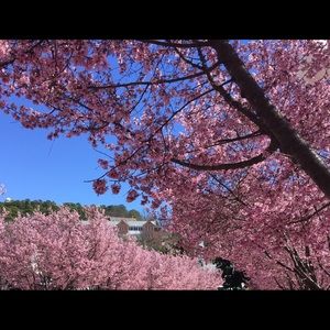 Meet your Posher, Rebecca