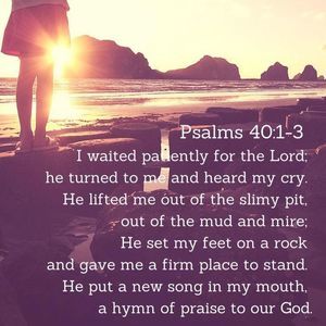 Meet your Posher, Iris