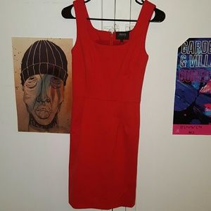 Fitted Red Bird Dress