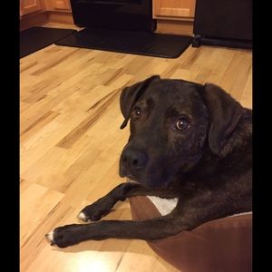 Meet your Posher, Charlotte