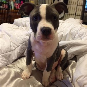 Meet your Posher, Sonita