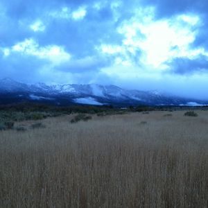 Meet your Posher, Dawn