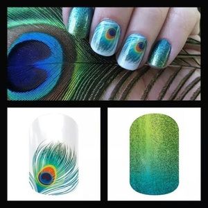 Bundle for Cegoodman10