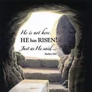 Meet your Posher, Toni