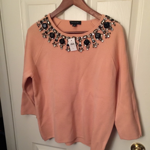 Anne Taylor sweater