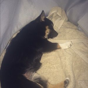 Meet your Posher, Melike