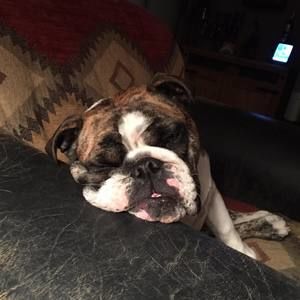 Meet your Posher, Nancy