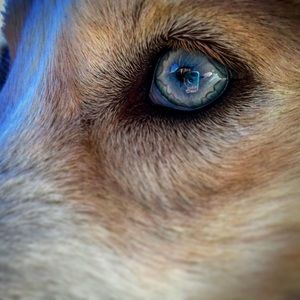 Meet your Posher, Logan