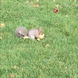 Meet your Posher, Tamara