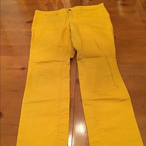 LOFT skinny pants (8 petite)