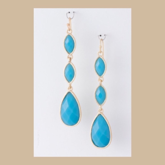 Jewelry - NWT Jewel Drop Earrings