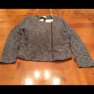 LOFT Lou & Grey Moto Jacket