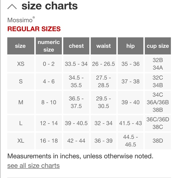 NWOT gray swim skirt in Large ONLY-1 LEFT in Stock - Picture 4 of 8