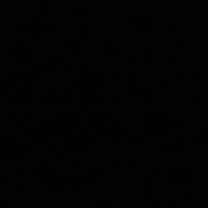 Meet your Posher, Dali