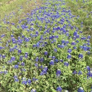 Meet your Posher, Jeen