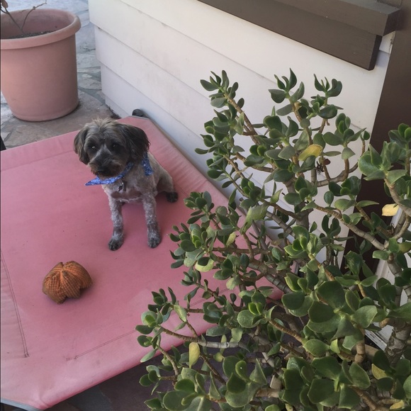 Meet your Posher, N - Picture 1 of 1