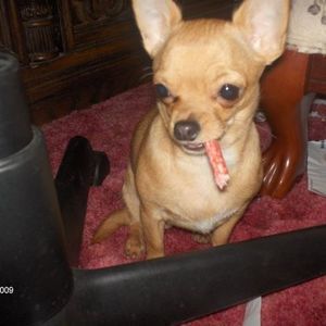 Meet your Posher, Edith